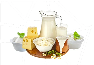 Dairy Ingredients