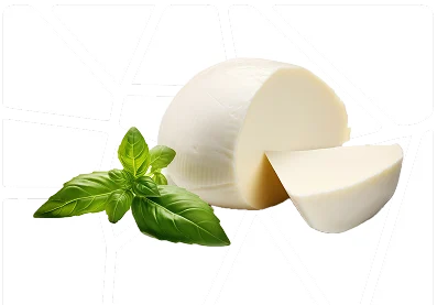 Mozzarella